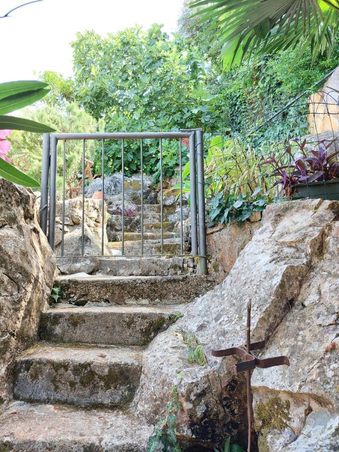 Villa Riva Molunat Bagian luar foto