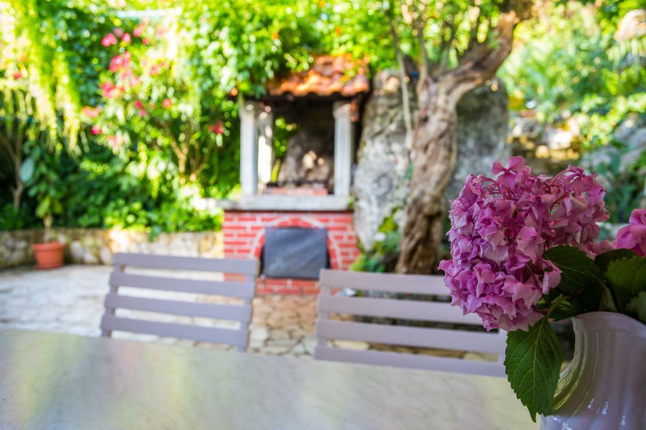 Villa Riva Molunat Bagian luar foto