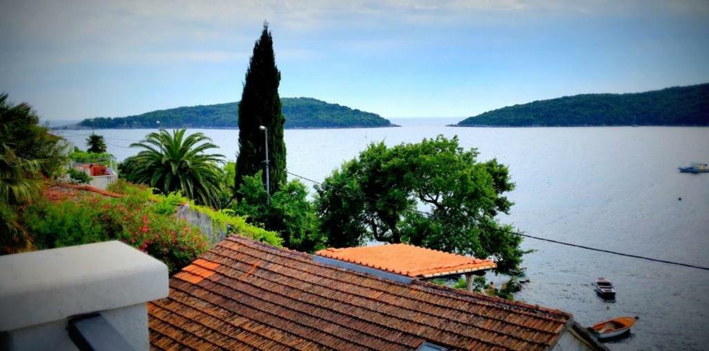 Villa Riva Molunat Bagian luar foto